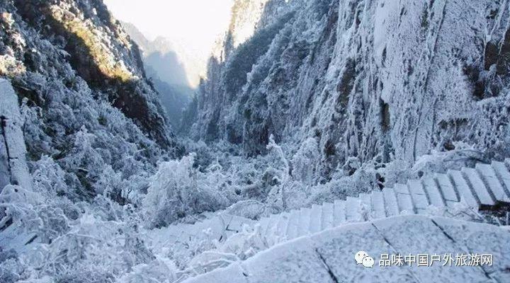 上海照顾困难调沪解决分居，无外地社保且在上海已交多年社保可以吗？游戏画面